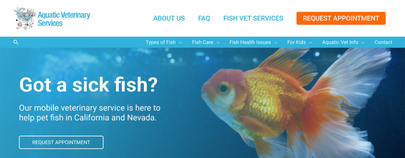 catfishvet acquatic veterinary services